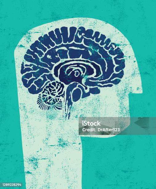 Head With Brain Cross Section Stock Illustration - Download Image Now - Poster, Intelligence, Abstract