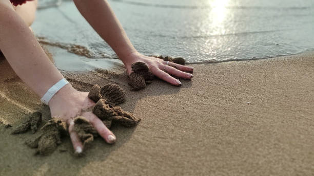 istock handprint on the sand by the sea 1289229530