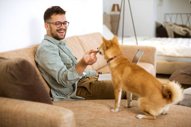 istock Young male working from home and playing with his dog 1289230951