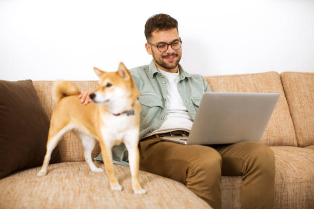 istock Young male working from home and playing with his dog 1289231123