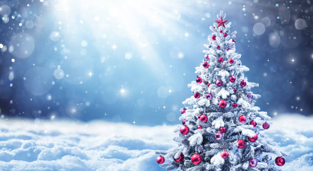 verschneiter weihnachtsbaum mit roten kugeln in einer winterlandschaft - christmas christmas tree snowing blue stock-fotos und bilder