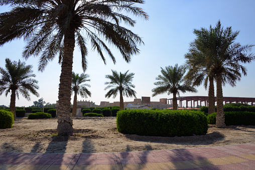 Al-Qarah, Al-Hofuf, Al-Ahsa Oasis, Eastern Province, Saudi Arabia: palm trees at the entrance to Shaibani Park, with its mock castle.
