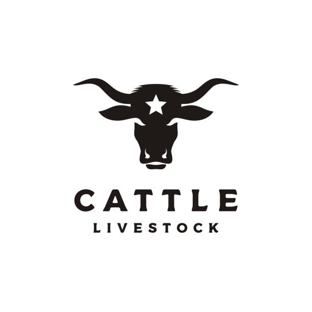 ilustraciones, imágenes clip art, dibujos animados e iconos de stock de silueta de western bull cow buffalo head con diseño de logotipo de estrella - animal skull cow animals in the wild west