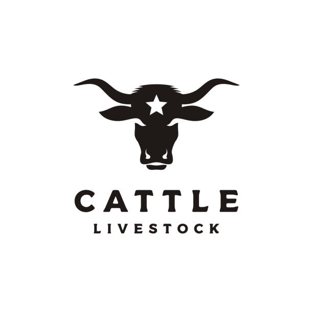 illustrazioni stock, clip art, cartoni animati e icone di tendenza di western bull cow buffalo head silhouette con logo a stella - texas longhorn cattle horned cattle farm