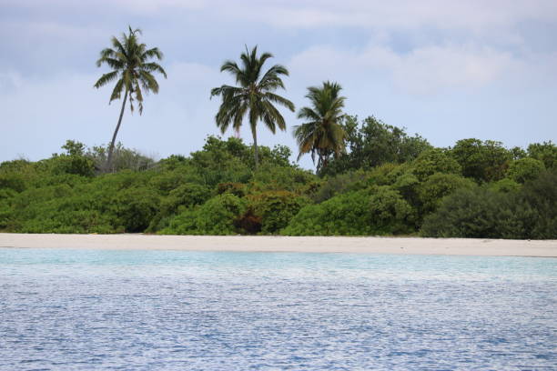 istock Catamaran trip on the Seychelles 1289242647