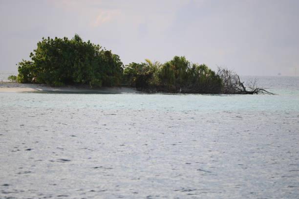 istock Catamaran trip on the Seychelles 1289242876