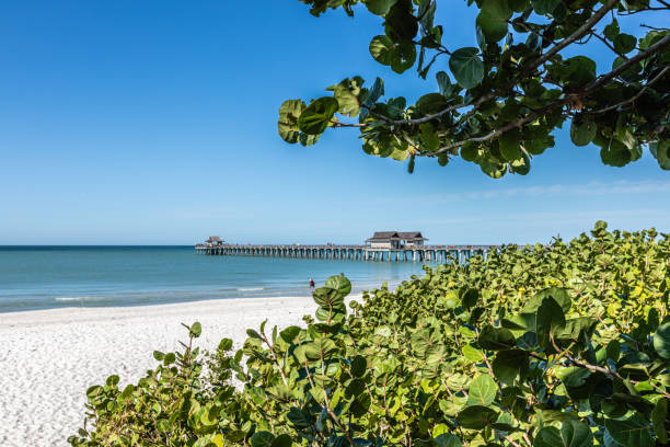 istock Naples Pier and Beach Florida 1289243990