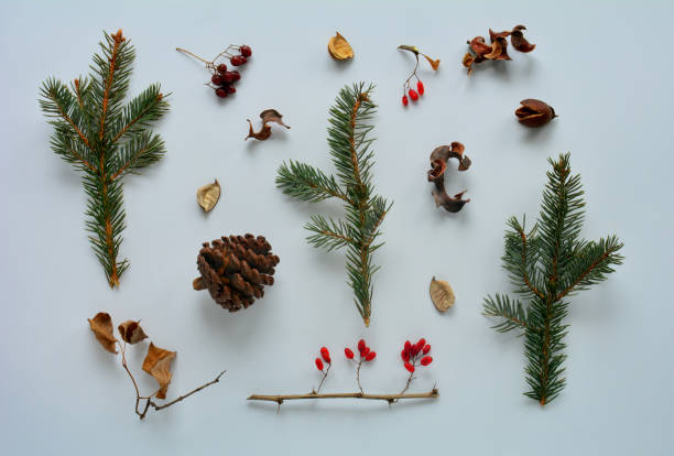 istock Winter and autumn background from natural materials. Flat lay. 1289245624