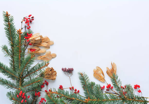 istock Winter and autumn background from natural materials. Flat lay. 1289245661