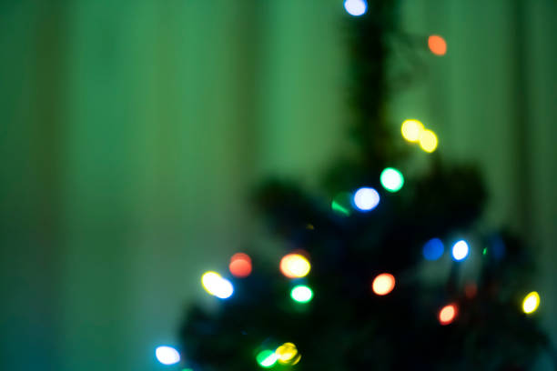 Broken Christmas Ornament on Christmas Tree Branches