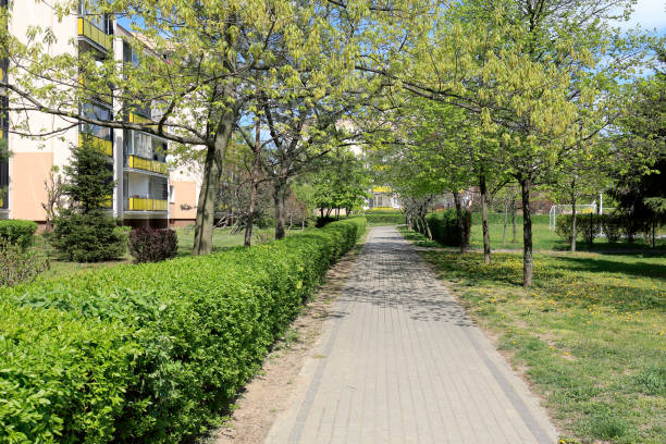 istock The sidewalk among the greenery 1289249403