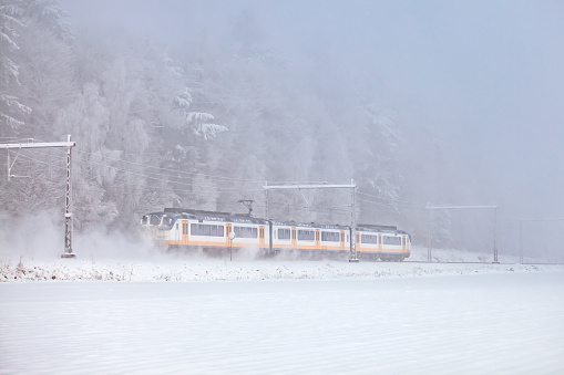 Dutch passenger train passing national park Veluwezoom during winter in The Netherlands