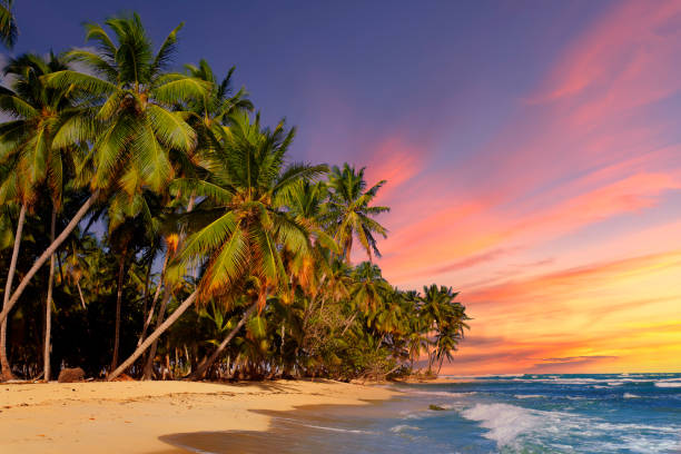 istock View of beach at sunset 1289255408