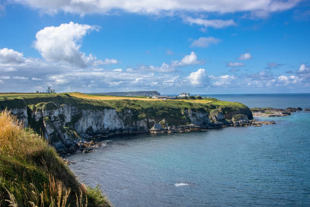 istock Giants Causeway in Northern Ireland 1289256643