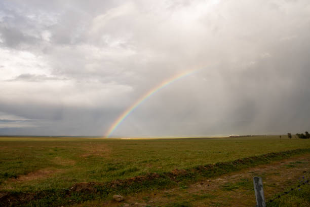 rainbow over wheat field, SK, Canada.