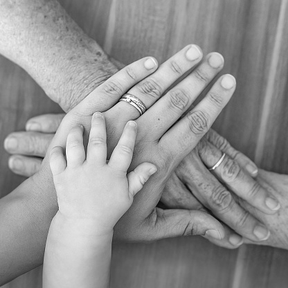 Hands of four generations in black and white