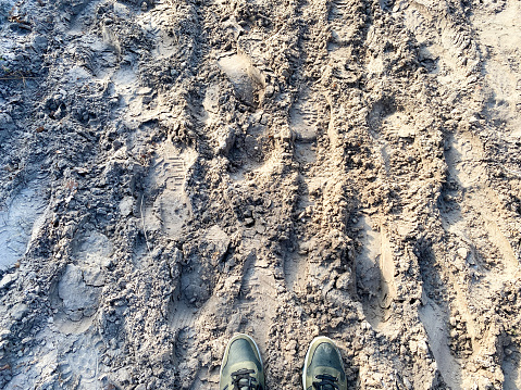 Footsteps in the heathland sand  cold Brunssummerheide