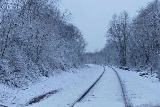 istock Winter snowy day scene 1289259238