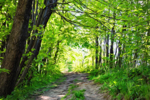 Digital oil painting canvas - forest path among green trees on a sunny day