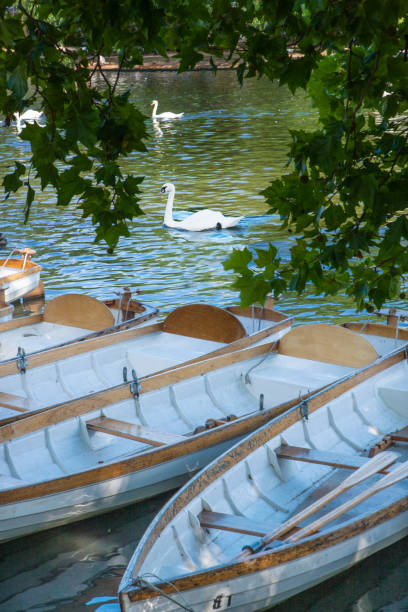 istock Row boats on water 1289260475