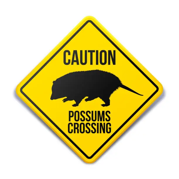 Vector illustration of Possums Crossing Animal Crossing Warning Sign