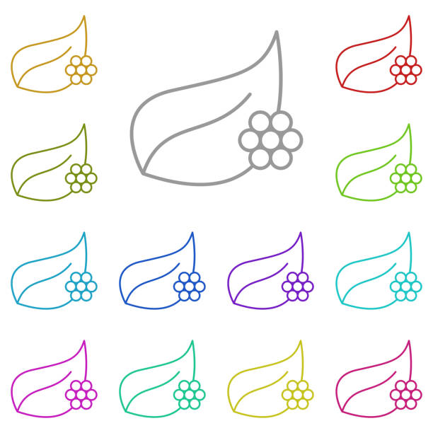 Eggs, plant iconmulti color icon. Simple thin line, outline vector of biology icons for ui and ux, website or mobile application Eggs, plant iconmulti color icon. Simple thin line, outline vector of biology icons for ui and ux, website or mobile application on white background egg to caterpillar stock illustrations