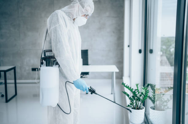 istock Office disinfection during COVID-19 pandemic. 1289264891