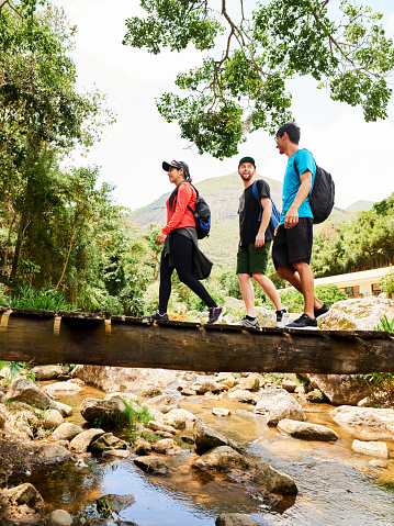 Group of friends hiking in a forest walking over a log footbridge