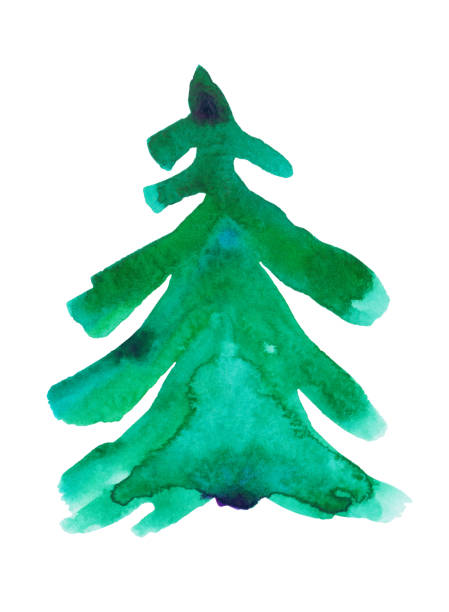 illustrations, cliparts, dessins animés et icônes de arbre coloré de noël d’aquarelle - pine tree brush stroke winter snow