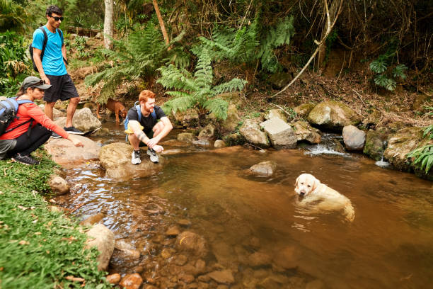 Group of friends on hiking trip relaxing by a mountain creek with dog enjoying on pond