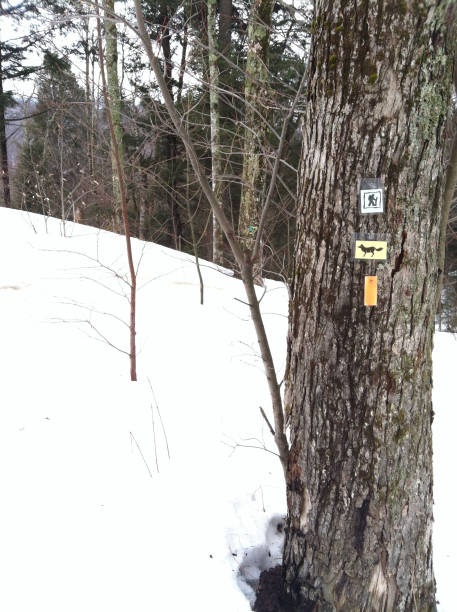 istock Trail Markers Show the Way for Two and Four Legs 1289270091