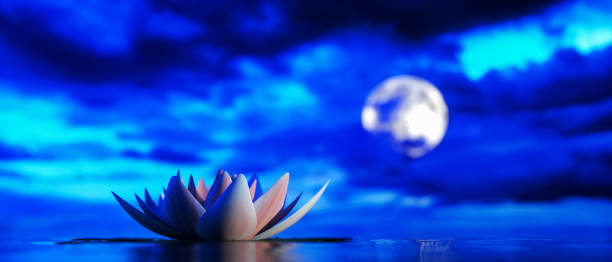 istock a magical lotus blossom in the moonlight (3d rendering) 1289270232