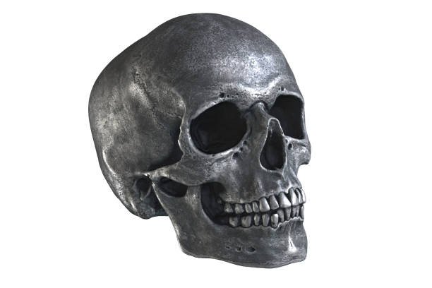 istock 3D illustration of metallic human skull isolated on white background 1289271126