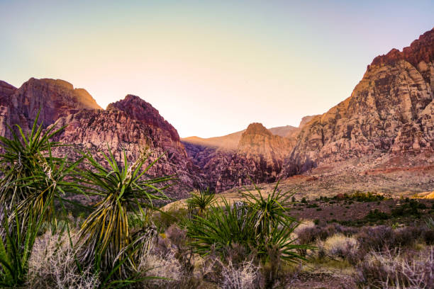 zachód słońca - red rock canyon national conservation area zdjęcia i obrazy z banku zdjęć