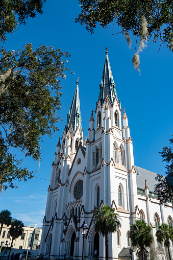 Cathedral Basilica of St. John the Baptist through the trees in Savannah