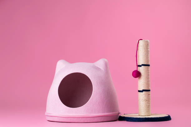 istock Pet accessories for cats on pink pastel background 1289280270