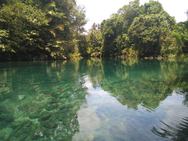 istock A crystal clear river in West Papua Province 1289283098