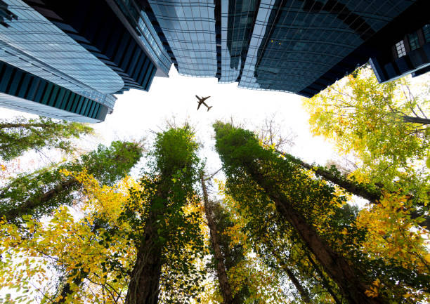 istock Skyscraper and Forest with a airplane silhouette 1289283850