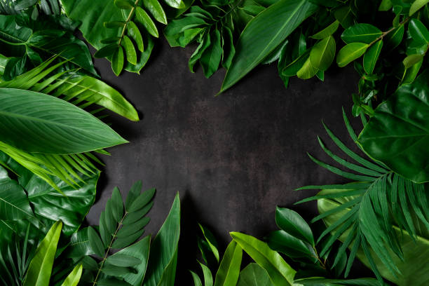 istock abstract green leaf texture, nature background, tropical leaf 1289284127