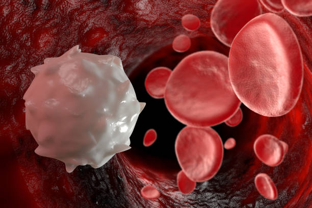 istock Red White Blood Cells 3D Illustration 1289288143