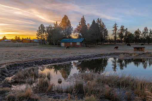 This small farmhouse with a smoking fireplace and grazing livestock is in Deschutes County Oregon