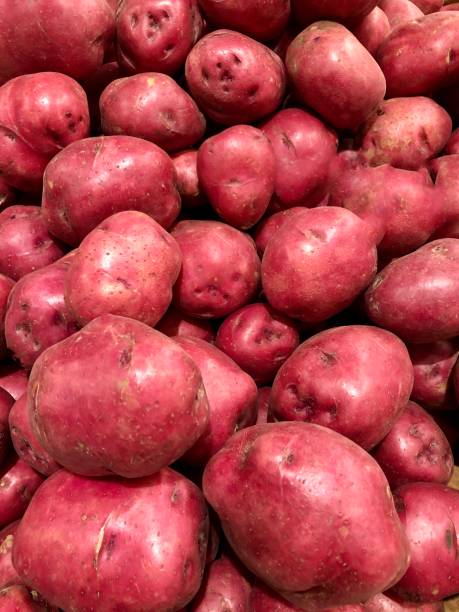 "un montón de patatas rojas" - red potato raw potato market red fotografías e imágenes de stock