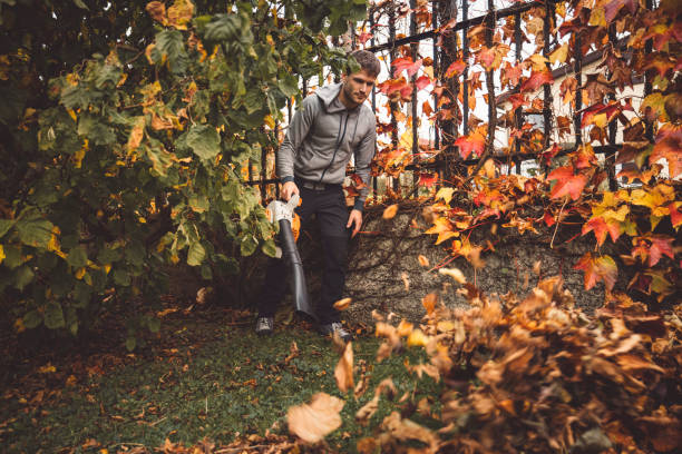 istock Gardner blowing leaves up in the air with leaf blower 1289289110