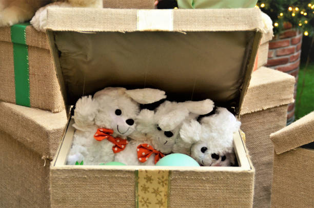 istock A Box of stuffed rabbit puppies 1289291271