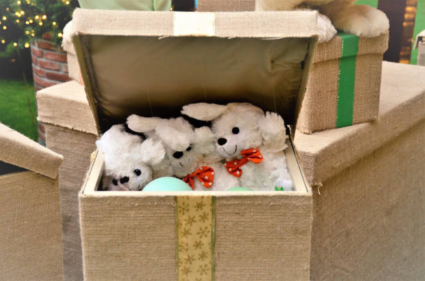istock Gift box with stuffed rabbit puppies 1289291296