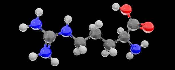 アルギニン分子の3次元ガラス化学構造 - arginine ストックフォトと画像