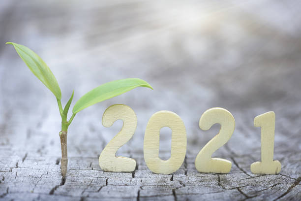 istock Wood block 2021 and  small plant tree. 1289298088