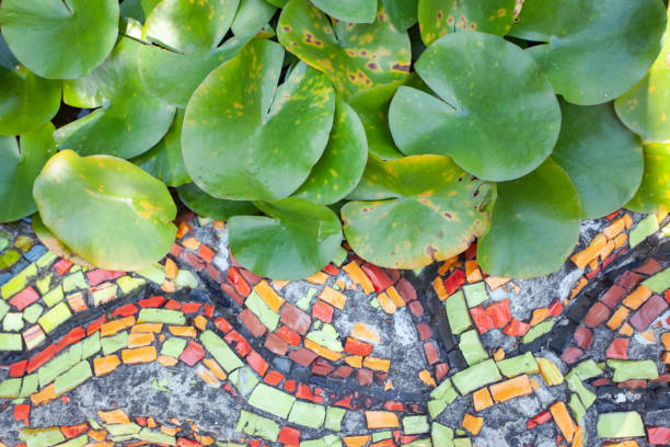 istock Green lotus leaves in the pool 1289299058