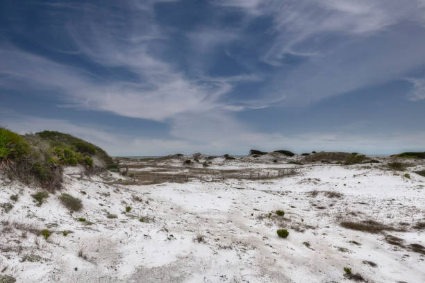 istock Deer Lake State Park landscape of sand dunes 1289299985