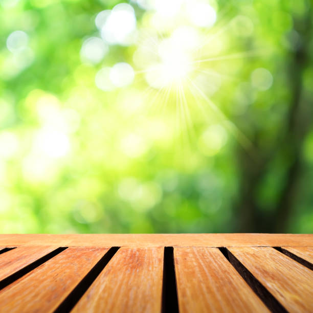 istock Selective focus of empty old wood on blur nature green leaf with bokeh abstract background. 1289301491